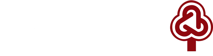BAJDA SRL